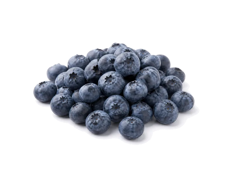 Borówka amerykańska – białko 1g, kalorie 61 kcal, węglowodany i tłuszcz na 100g | zdrowe odżywianie