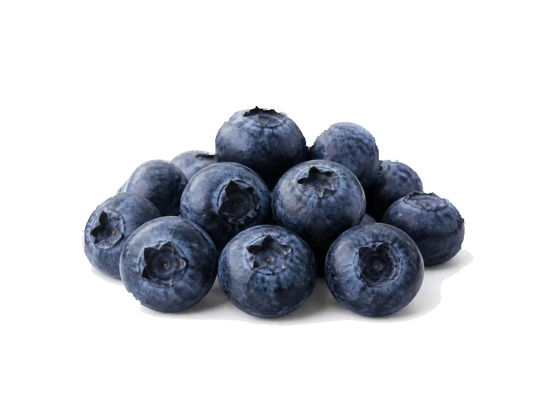 Borówki – białko 0.7g, kalorie 57 kcal, węglowodany i tłuszcz na 100g | zdrowe odżywianie