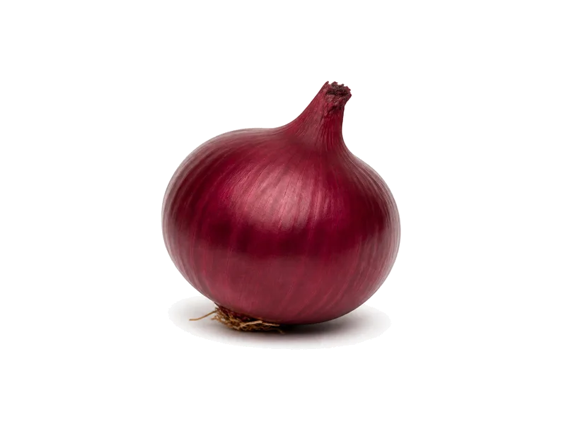Cebula (czerwona) – białko 1.2g, kalorie 32 kcal, węglowodany i tłuszcz na 100g | zdrowe odżywianie