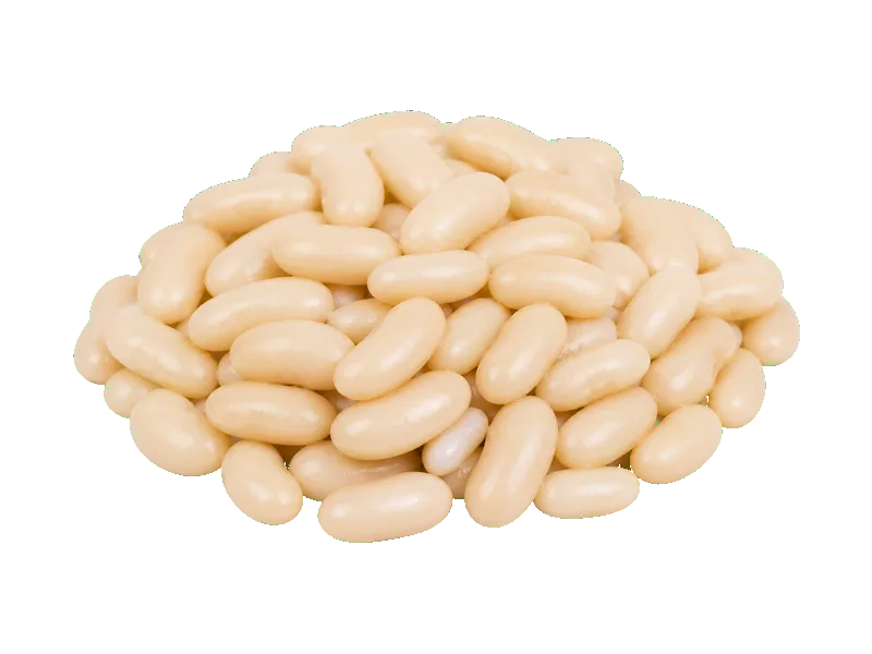 Fasola biała – białko 6g, kalorie 102 kcal, węglowodany i tłuszcz na 100g | zdrowe odżywianie