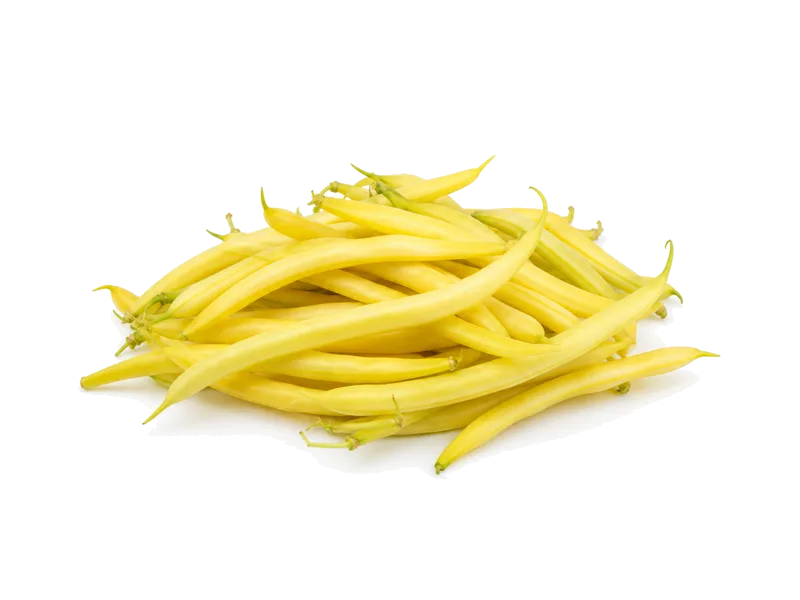 Fasolka szparagowa (żółta) – białko 1.8g, kalorie 31 kcal, węglowodany i tłuszcz na 100g | zdrowe odżywianie