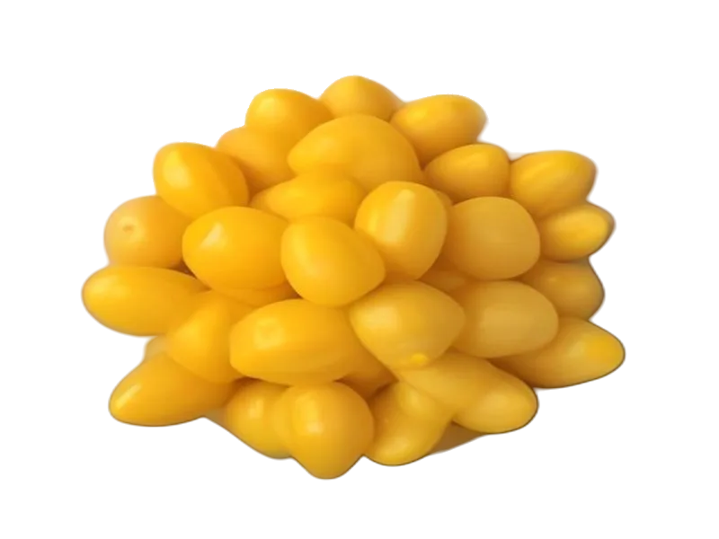 Kukurydza słodka w puszce – białko 2.6g, kalorie 81 kcal, węglowodany i tłuszcz na 100g | zdrowe odżywianie