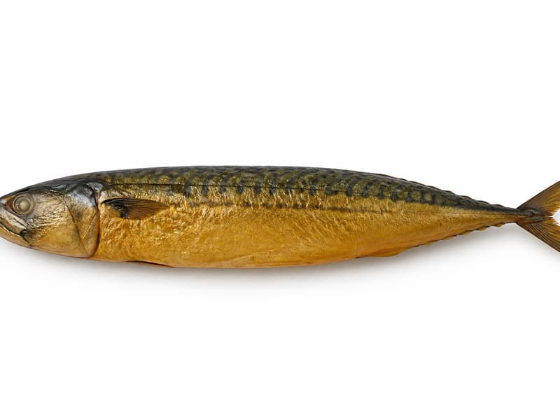 Makrela wędzona – białko 18g, kalorie 262 kcal, węglowodany i tłuszcz na 100g | zdrowe odżywianie
