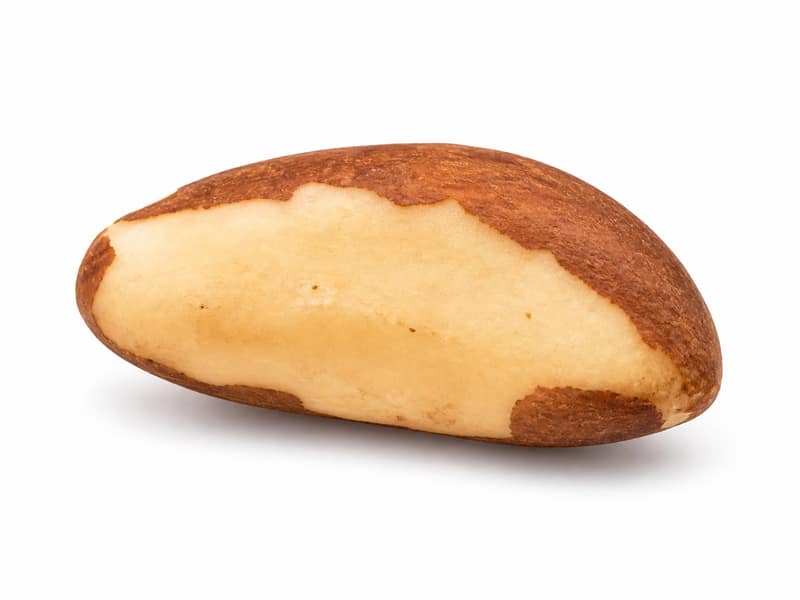 Orzechy brazylijskie – białko 14g, kalorie 659 kcal, węglowodany i tłuszcz na 100g | zdrowe odżywianie