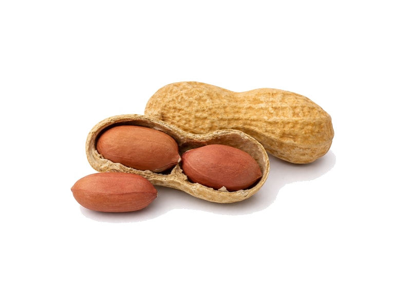 Orzechy ziemne – białko 26g, kalorie 567 kcal, węglowodany i tłuszcz na 100g | zdrowe odżywianie