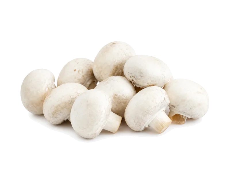 Pieczarki świeże – białko 3.1g, kalorie 22 kcal, węglowodany i tłuszcz na 100g | zdrowe odżywianie