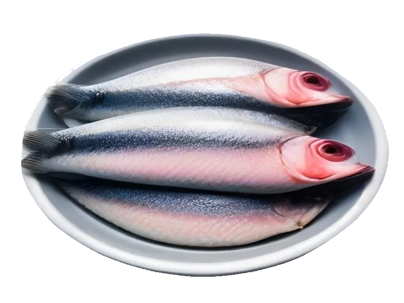 Śledź świeży – białko 18g, kalorie 158 kcal, węglowodany i tłuszcz na 100g | zdrowe odżywianie