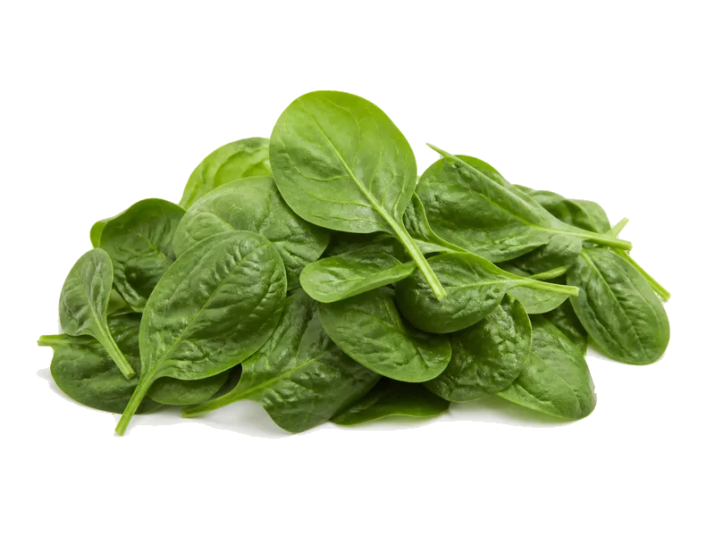 Szpinak świeży – białko 2.9g, kalorie 23 kcal, węglowodany i tłuszcz na 100g | zdrowe odżywianie
