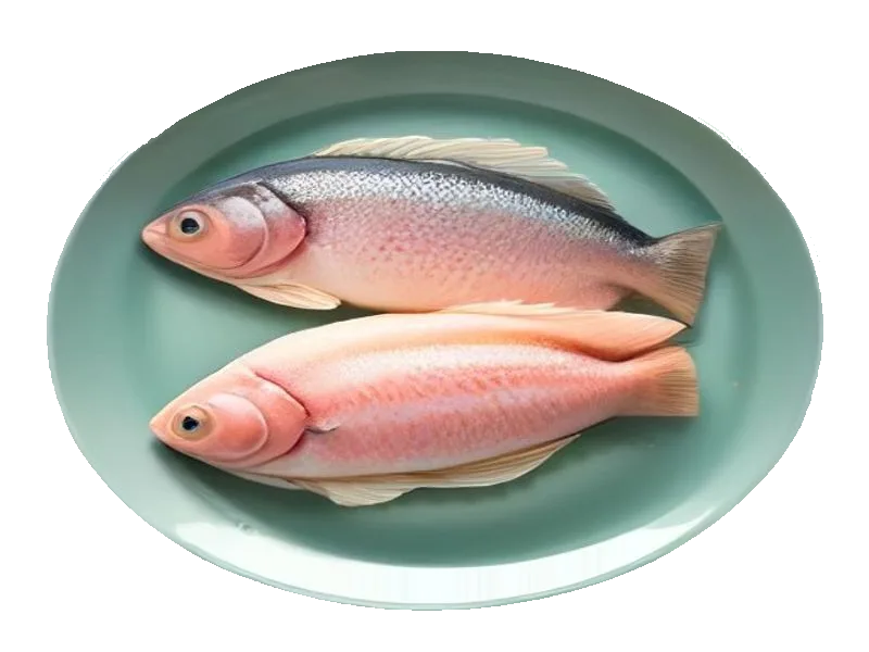 Tilapia – białko 20g, kalorie 96 kcal, węglowodany i tłuszcz na 100g | zdrowe odżywianie